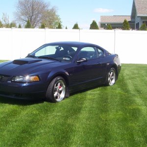 2001 True Blue Mustang Bullitt