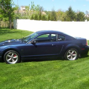 2001 Mustang Bullitt True Blue