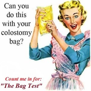 thebagtest