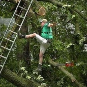 Psshsawing_off_the_wrong_limb2