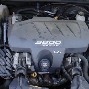 DSC04901