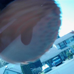 2012-07-04_14_35_33