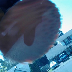2012-07-04_14_35_38