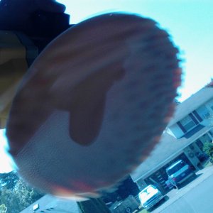 2012-07-04_14_35_48