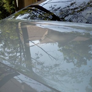 IMG_20120707_150600