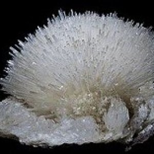 acicular
