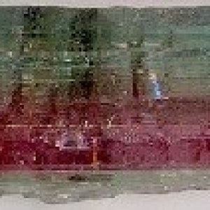 striated1