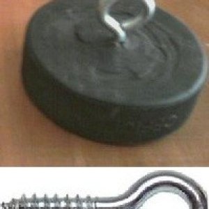 hockeypuck_eyebolt