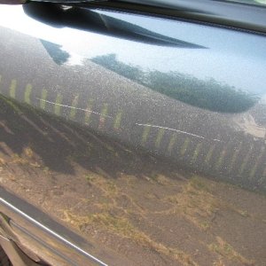 Scratches