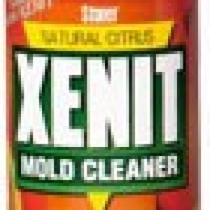 Xenit