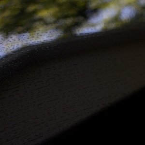IMG_4524