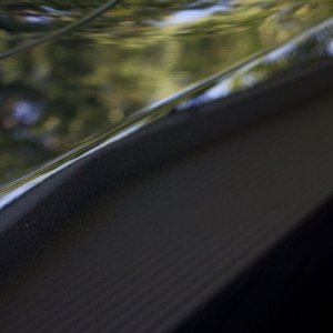 IMG_4526