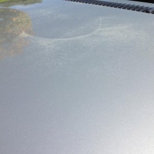 photo-42