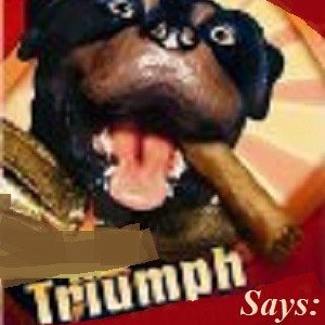 triumph