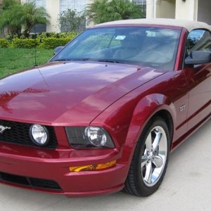 Jeff's 2006 Mustang with EXO on it