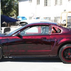 Mustangs Wetsanding by Mike Phillips