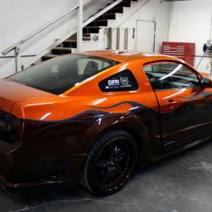 Mustangs Wetsanding by Mike Phillips