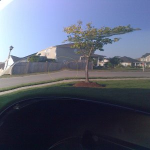 IMG-20120823-001961