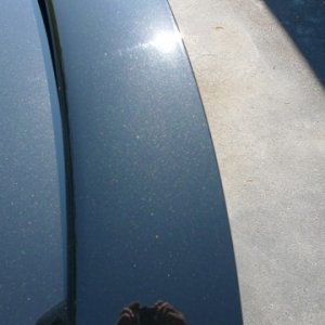faint hologram on spoiler