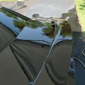 trunk after detail