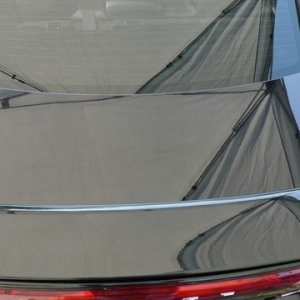 trunk overhead after full detail