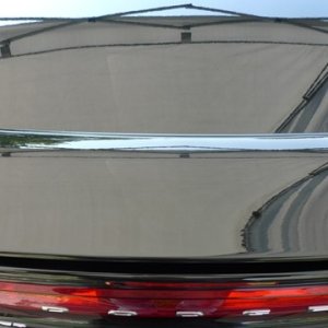 more trunk after detail