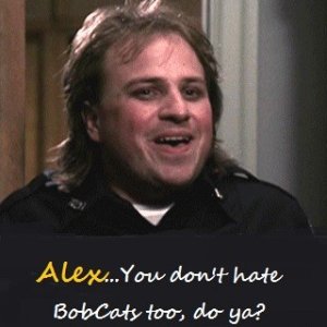 bobcatgoldthwait