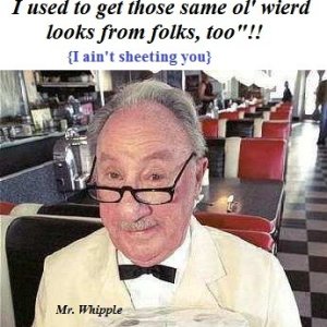 mrwhipple