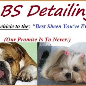 BSDetailing