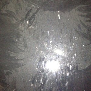 After bird bath 2