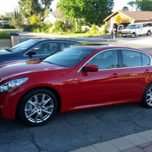 My Red Stallion