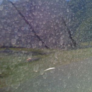 polyseal_resize3
