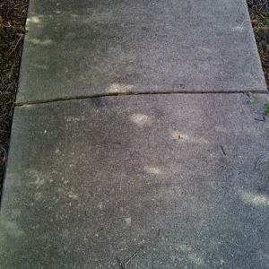 polyseal_resize12