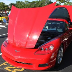Corvette Show Cars by Mike Phillips