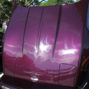 Corvette Show Cars by Mike Phillips
