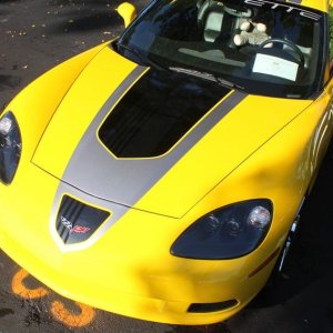 Corvette Show Cars by Mike Phillips