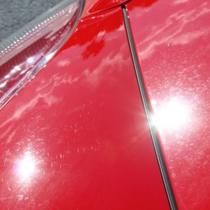 Corvette Show Cars by Mike Phillips