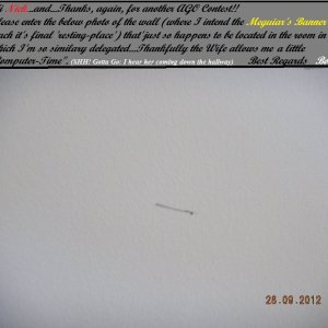 Wall-for-Meg_s-Banner