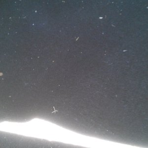 Dirty Backseat Carpet