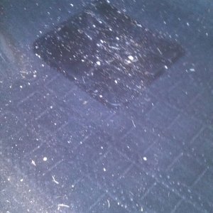 Dirty Driver Side Carpet