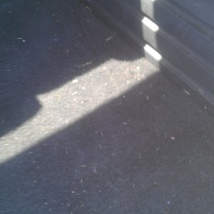 Dirty Trunk Area 1