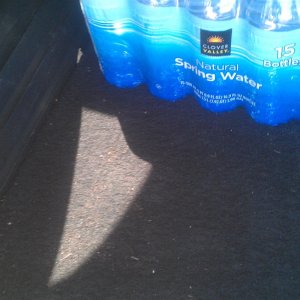 Dirty Trunk Area 2