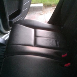 Clean Leather Backseat 3