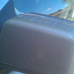 Buggy Side Mirror 1