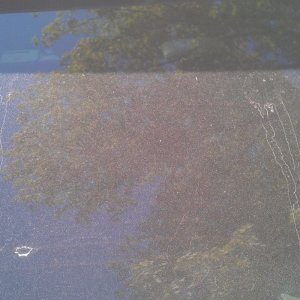 Dirty Rear Window 1