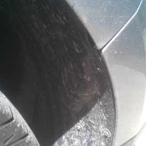Dirty Wheel Well 2