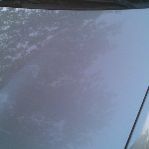 Clean Hood 1
