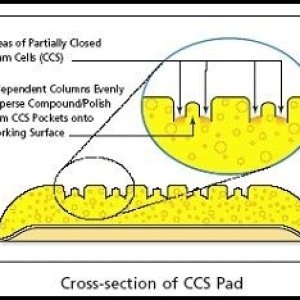 LCccspadxsection