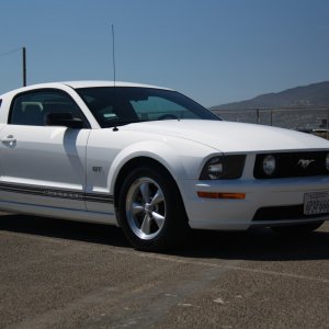 My Mustang V8
