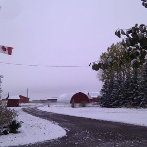 Winter